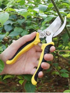 Professional Tree Trimmers & Sharp Bypass Pruning Shears: A Comprehensive Guide