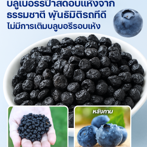 บลูเบอร์รี่อบแห้งเกรดพรีเมียมไม่มีน้ำตาล บลูเบอร์รี่ป่าอบแห้งแบบไม่มีน้ำตาล ปราศจากน้ำตาล ไม่มีสารปรุงแต่ง บลูเบอร์รี่ป่า บลูเบอร์รี่แห้ง บลูเบอร์รี่อบแห้งพรีเมียม Dried Blueberries 无糖蓝莓干