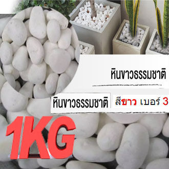 หินกรวดแม่น้ำสีขาว เบอร์ 3 สำหรับประดับต้นไม้และตกแต่งสวน