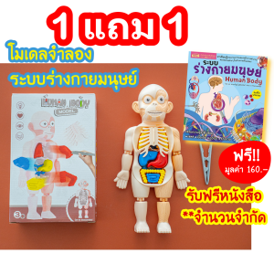 หนังสือระบบร่างกายมนุษย์ +โมเดลร่างกายมนุษย์ 👀ซื้อ 1 แถม 2 แถมฟรีหนังสือ+การ์ด!! 💪โมเดลอวัยวะ🦵ของเล่นแนววิทยาศาสตร์ 🧠Human Body