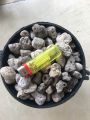 Đá Pumice ( Đá bọt đá núi lửa) gói 1kg dùng trộn giá thể trồng cây giúp giữ ẩm tốt, thoáng rễ, nhẹ. 