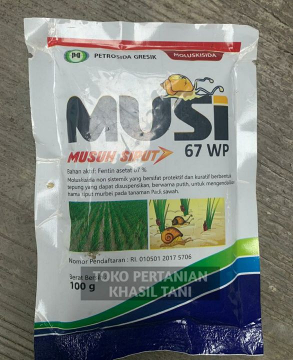 Porno yosh ayollar paypoq