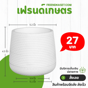 กระถาง กระถางต้นไม้ มินิมอล เบลล่า เบอร์ 5 นิ้ว สีดำ สีขาว เทา เขียว Bundle 5 ใบ ชิ้น อัน