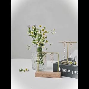 Metal T‑Shaped Jewelry Display Rack Universal Earrings Necklace Storage Holder Stand For Charms Professional Showcase