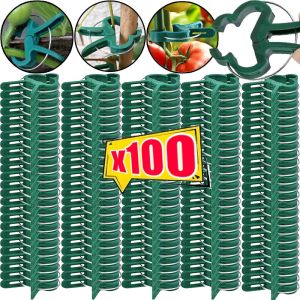 20-100Pcs Reusable Plant Support Clips Adjustable Plant Stem Clip for Vegetables Tomatoes Plants Vines Grow Upright Climbing Tool Garden Supplies