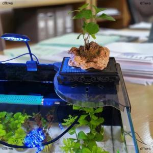 [COD] dfhws Fish Tank Corner Storage Rack Punch-free Storage Rack Fish Tank Top Landscape Bracket Hydroponic Green Plant Tray