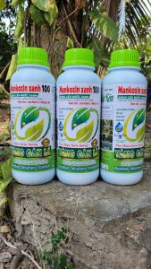 [Freeship Max] Phân bón vi lượng ÁO GIÁP KẼM dạng nước hạn chế vàng lá chín sớm thán thư sương mai chai 1 lít_THIEN THINH SHOP