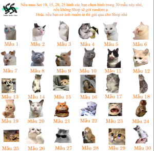 Meme Cat - Combo Set 10/15/30 Sticker meme mèo chú mèo cat hình dán trang trí vali điện thoại..siêu đẹp chống nước chống xước