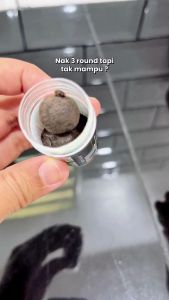 in stock Jamu Kanda Original Pos Dari Hq