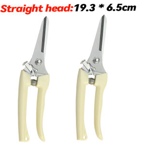 2Cái Bộ Dụng Cụ Cắt Tỉa Làm Vườn / Kéo Làm Vườn Bằng Thép Không Gỉ / Kéo Cắt Tỉa Cây Bền Bỉ / Kéo Dùng Cho Hoa Cây Ăn Quả Và Sân Vườn / Dụng Cụ Cắt Cành Cây