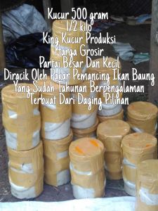 Kucur Umpan Ikan Baung 500gram King Kucur Produksi