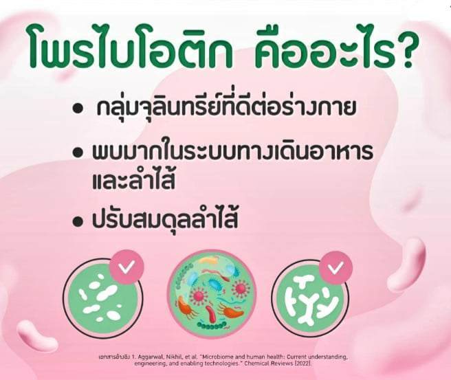 %E0%B9%82%E0%B8%9E%E0%B8%A3%E0%B9%84%E0%B8%9A%E0%B9%82%E0%B8%AD%E0%B8%95%E0%B8%B4%E0%B8%84%20%E0%B8%81%E0%B8%B4%E0%B8%9F%E0%B8%9F%E0%B8%B2%E0%B8%A3%E0%B8%B5%E0%B8%99%20%E0%B9%84%E0%B8%9A%E0%B9%82%E0%B8%AD%E0%B8%95%E0%B8%B4%E0%B8%81%20%E0%B8%A1%E0%B8%B5%E0%B8%88%E0%B8%B8%E0%B8%A5%E0%B8%B4%E0%B8%99%E0%B8%97%E0%B8%A3%E0%B8%B5%E0%B8%A2%E0%B9%8C%20%E0%B9%82%E0%B8%9E%E0%B8%A3%E0%B9%84%E0%B8%9A%E0%B9%82%E0%B8%AD%E0%B8%95%E0%B8%B4%E0%B8%81%E0%B8%96%E0%B8%B6%E0%B8%87%2010%20%E0%B8%AA%E0%B8%B2%E0%B8%A2%E0%B8%9E%E0%B8%B1%E0%B8%99%E0%B8%98%E0%B8%B8%E0%B9%8C%20%E0%B8%82%E0%B8%B1%E0%B8%9A%E0%B8%96%E0%B9%88%E0%B8%B2%E0%B8%A2%20%E0%B8%AD%E0%B8%B2%E0%B8%AB%E0%B8%B2%E0%B8%A3%E0%B9%80%E0%B8%AA%E0%B8%A3%E0%B8%B4%E0%B8%A1%20%E0%B8%82%E0%B8%B1%E0%B8%9A%E0%B8%96%E0%B9%88%E0%B8%B2%E0%B8%A2%20-%20Image%203