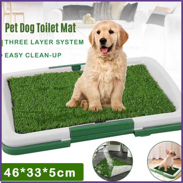 Litter Box Indoor Dog Bathroom Grass Dog Litter Box Indoor Dog - Main Image