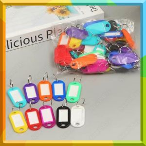 50Pcs Writable Plastic Key Tags with Container Rental Property Key Tag Classification Label Key Ring