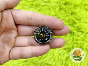 Đồng hồ Cricket | Đồng hồ đo áp suất chân 8mm kim đồng