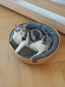 Woven Rattan Cat Bed Dog House SummerBed Cat Scratching Board All-Season