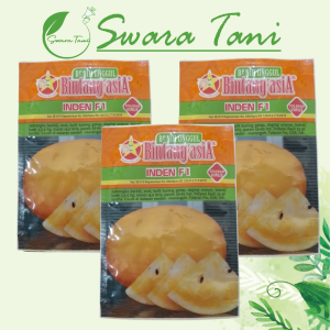 Benih Semangka golden Kuning Inden F1 20gram Bintang Asia