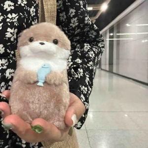 Cartoon Otters with Fish Plush Keyrings 12cm - Cute Kawaii Hanging Pendant for School Bag Wallet Charms Creative Chain Accessory