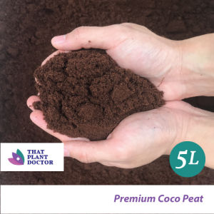 Premium Coco Peat (Fine) (Thailand Imported Grade / Excellent Moisture Retention) (5L / 1.44KG)
