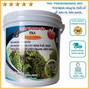TKS-PSEUDOMONASL  Vi Khuẩn Đối Kháng Trừ Bệnh Héo Xanh Thối Cổ Rễ Vàng Lá  - Xô 2kg