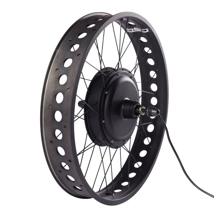 Fat Electric Bike Wheel 36V 250W 350W 500W 48V 750W 1000W 1500W 20