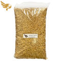 Jockey Oats 1kg - 1 kilogram Repacked - Bird Feeds - 1 kg - Bird Food Philippines - Birds - Birding - pgb - petpoultryph. 