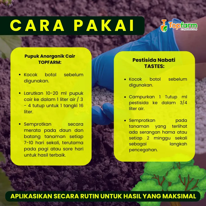 Pupuk%20Pestisida%20Topfarm%20/%20Pupuk%20Khusus%20Ubi%20Talas%20/%20Pupuk%20Umbi%20Talas%20Pelebat%20Buah%20/%20Pupuk%20Buah%20Super%20Lebat%20Talas%20/%20Obat%20Ubi%20Talas%20Anti%20Busuk%20Buah%20/%20Obat%20Hama%20Untuk%20Tanaman%20Talas%20/%20Pupuk%20Pembesar%20Ubi%20Talas%20-%20Image%209