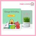 [Sg Ready Stock] Cat Grass Seed For Planting Easy to Grow Oat Grass That Your Cat Will Love Good Cat Grass - Pet Cat Grass Pot Hydroponics Set Cat Grass Snack Hair Ball Cleaning Stomach Grass Hydroponics Grass Cat Snack Cleaning Toys - Paw Loves. 
