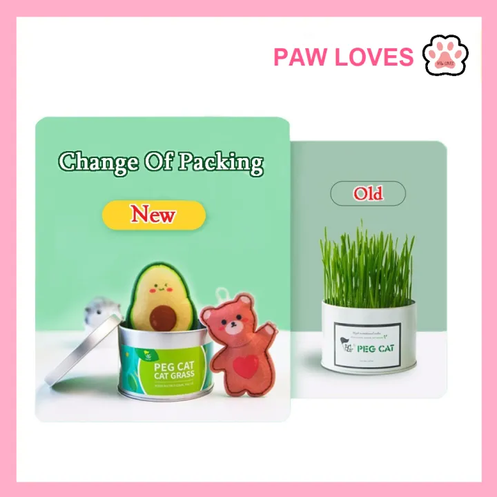 %5BSg%20Ready%20Stock%5D%20Cat%20Grass%20Seed%20For%20Planting%20Easy%20to%20Grow%20Oat%20Grass%20That%20Your%20Cat%20Will%20Love%20Good%20Cat%20Grass%20-%20Pet%20Cat%20Grass%20Pot%20Hydroponics%20Set%20Cat%20Grass%20Snack%20Hair%20Ball%20Cleaning%20Stomach%20Grass%20Hydroponics%20Grass%20Cat%20Snack%20Cleaning%20Toys%20-%20Paw%20Loves%20-%20Image%204