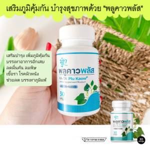 Ra-Ta Plu Kaow สูตรเข้มข้น ลดภูมิแพ้ สมุนไพรแท้ 100% 30แคปซูล ป้องกันหวัด ลดอาการคัน
