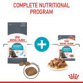 Royal Canin Urinary Care (0.4kg) Dry Makanan Kucing Dewasa - Feline Care Nutrition. 