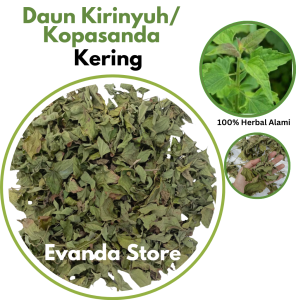 Daun Kirinyuh Kering murni Daun Kopasanda Daun Balakacida kering Teh Herbal Alami