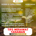 Pupuk Khusus Tanaman Jahe / Pupuk Pembesar Umbi Jahe / Pupuk Untuk Tanaman Jahe / Pupuk Jahe Umbi Besar / Pupuk Jahe Merah / Pupuk Penyubur Tanaman Jahe. 