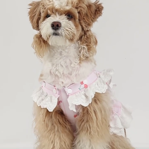 Reusable Sanitary Panties Washable Small Dog Pet Diapers Regulable Dog Diapers for Home Travel or Outdoor Use