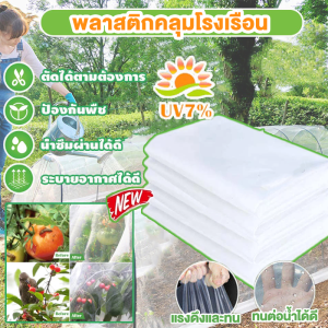 ค่าส่งถูก พลาสติกโรงเรือน หน้ากว้าง พลาสติกใส พลาสติกPE (เกรด A) หนา 120150200 ไมครอน โรงเรือน greenhouse โรงเรือนเพาะชํา พลาสติกคลุมโรงเรือน