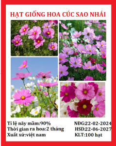 Hạt giống hoa nhái hồng-gói 100 hạt-gieo trồng quanh năm