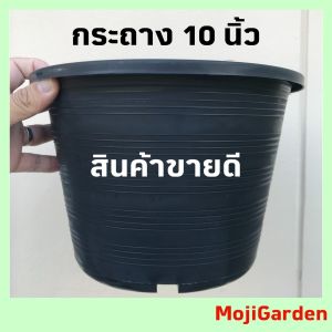 กระถาง 10 นิ้ว กระถางพลาสติก 10 นิ้ว กระถางต้นไม้ 10 นิ้ว สีดำ อย่างหนา ทนทาน ปากกว้าง 10 นิ้ว สูง 7 นิ้ว ใช้ปลูกต้นไม้ ดี