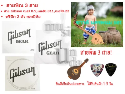 สายพิณ สายพิณโปร่ง สายพิณไฟฟ้า 3 สาย Gibson • GIBSON 0.090.0110.022 ซาวด์ นครพนม set ฟรีปิ๊ก 2 ตัว คละยี่ห้อ