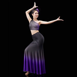 Women National Dance Dress Fish Tail Leotard Skirt +Top Suit Peacock Traditional Dai Dance Costumes Stage Performance Dancewear