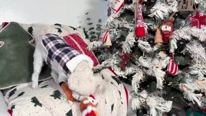 Giftable World Holiday PlushToy Interesting Christmas Design Dog chew toy with squeak sound (9 inch Santa Claus With squeak and wrinkles )