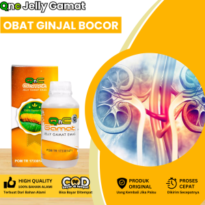 Obat Ginjal Bocor Sindrom Nefrotik Obat Kanker Ginjal Nyeri Ginjal Kebocoran Ginjal Infeksi Ginjal Obat Gagal Gijal Kronis Obat Radang Ginjal Obat Ginjal Bengkak Dengan Qnc Jelly Gamat