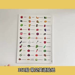 352 English Word Stickers Characters Stationery Fruits Animals Furniture Stickers Early Childhood Education English Learning