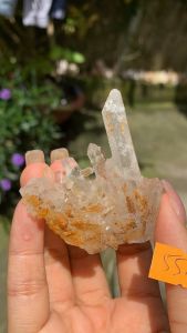 bụi tinh thể đá thạch anh Lemurian tự nhiên khoáng vật năng lượng vũ trụ 558