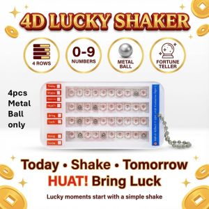 4D Lucky Shaker Keychain | Number 0–9 | Singapore Style Lucky Charm | Fun Lottery Accessory