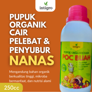 Pupuk Nanas Booster Obat Pembesar Buah Nanas / Pupuk Cair Untuk Tanaman Nanas / Pupuk Buah Nanas