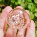 Clear Designs Hermit Crab Shells for Home Decorations Hermit Crab Supplies and DIY Crafts 2.5cm. 