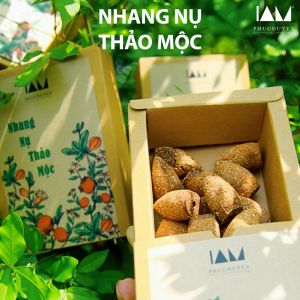 Nhang nụ thảo mộc tự nhiên không hóa chất từ quế bồ kết vỏ bưởi hương nhu cây ngũ trảo. Hộp 40 nụ