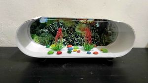 COD | AKUARIUM AQUARIUM MINI IKAN HIAS CUPANG GUFI DLL