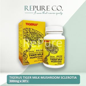 【FREE SHIPPING】TIGERUS 30S 60S 300MG 420MG Tiger Milk Mushroom 虎乳芝 Antrocare Cendawan Susu Harlimau Tiggy Orange Sclerotia Holla Tiger Milk Mushroom with Passion Fruit and Inulin 30 sachets 5.0 Sinus Solution Curb Allergy