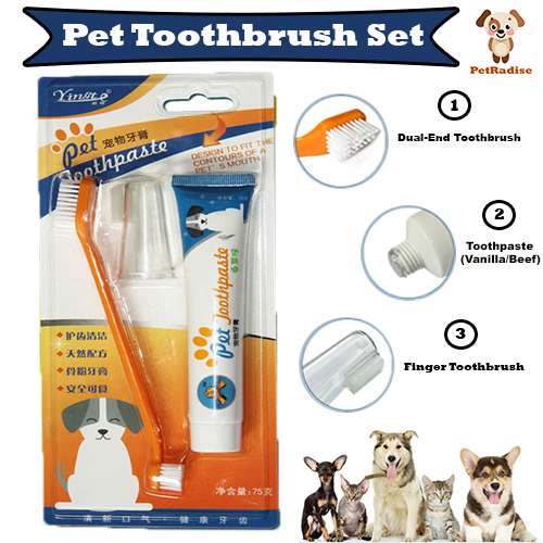 Kitten toothbrush hot sale and toothpaste